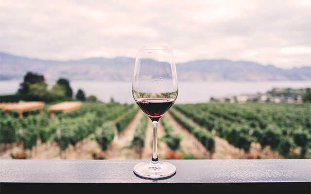 Glass of wine on a ledge overlooking a vineyard